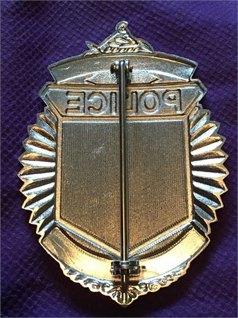 badges northeastern