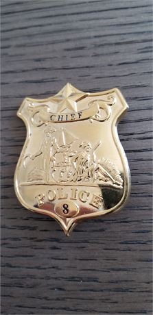 Albany New York Chief Badge