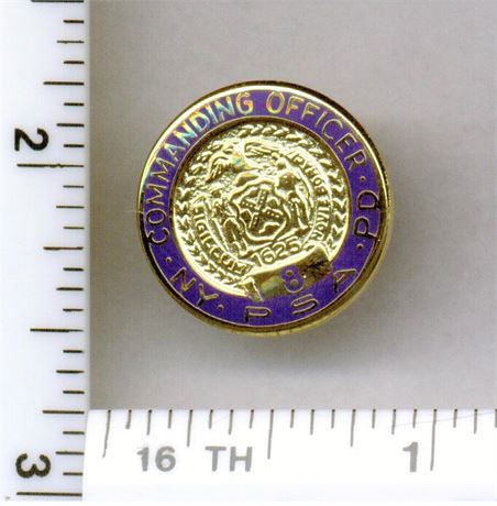 Public Service Area 8 Commanding Officer Pin (New York Housing Police - 1995)