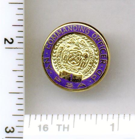 Public Service Area 1 Commanding Officer Pin (New York Housing Police - 1995)