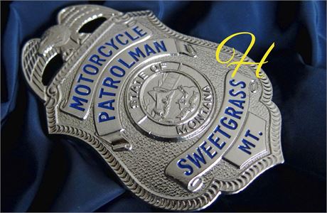 SCSO Sheriff Badge Pins (Gold or Silver) — Spokane Regional Law Enforcement  Museum