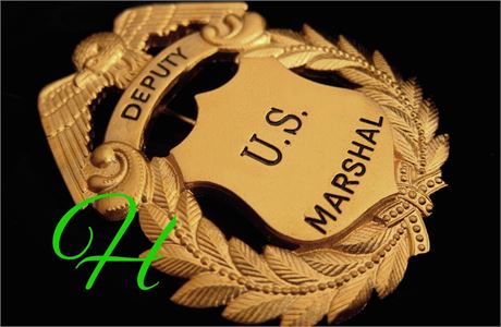 Police badge / Deputy U.S. Marshal / Hallmark / SALE