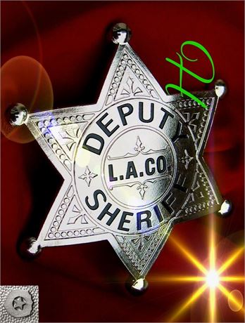 Police badge, Deputy Sheriff, Los Angeles County, California  / OFFER
